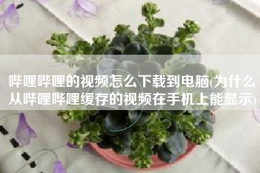 哔哩哔哩的视频怎么下载到电脑(为什么从哔哩哔哩缓存的视频在手机上能显示)