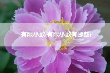 有限小数(有限小数有哪些)