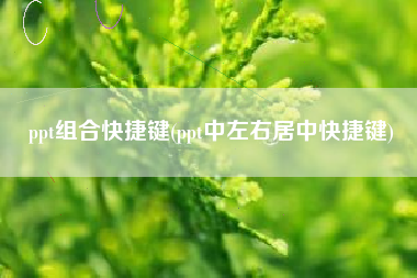 ppt组合快捷键(ppt中左右居中快捷键)