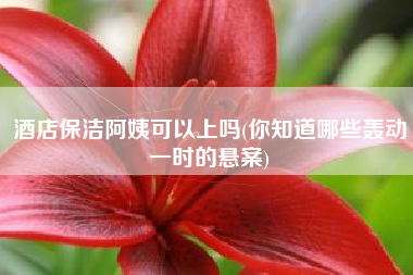 酒店保洁阿姨可以上吗(你知道哪些轰动一时的悬案)