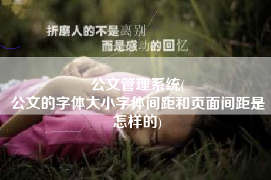 公文管理系统(
公文的字体大小字体间距和页面间距是怎样的) 公文管理系统(
公文的字体大小字体间距和页面间距是怎样的)