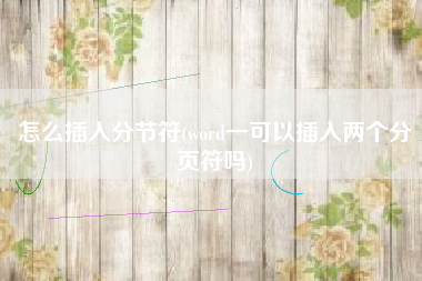 怎么插入分节符(word一可以插入两个分页符吗)
