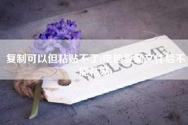 复制可以但粘贴不了(电脑复制文件后不能粘贴)