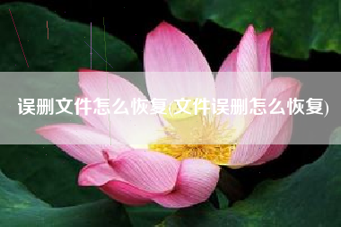 误删文件怎么恢复(文件误删怎么恢复)