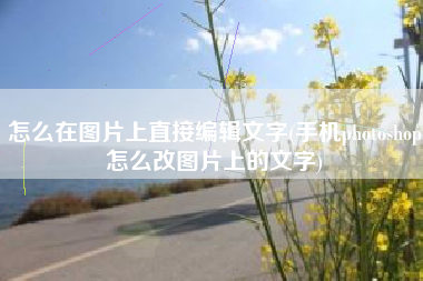 怎么在图片上直接编辑文字(手机photoshop怎么改图片上的文字)