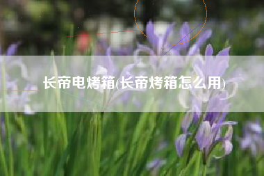 详细阅读:长帝电烤箱(长帝烤箱怎么用) 长帝电烤箱(长帝烤箱怎么用)
