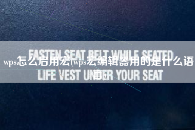 wps怎么启用宏(wps宏编辑器用的是什么语言)