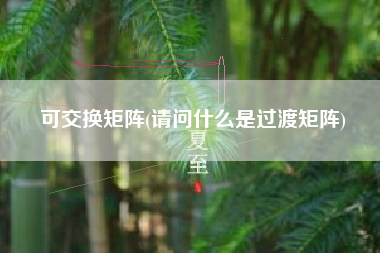 可交换矩阵(请问什么是过渡矩阵)