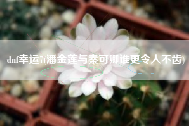 dnf幸运7(潘金莲与秦可卿谁更令人不齿)