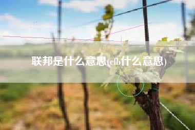 联邦是什么意思(cfb什么意思)