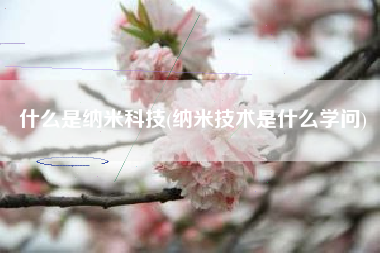 什么是纳米科技(纳米技术是什么学问)