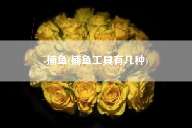 捕鱼(捕鱼工具有几种)