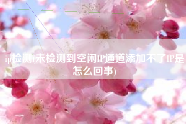 ip检测(未检测到空闲IP通道添加不了IP是怎么回事)