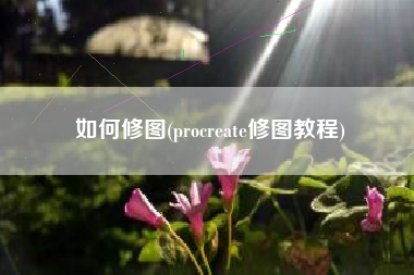 如何修图(procreate修图教程)