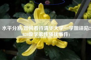 水平分割(如何看待清华大学一学姐诬陷2020级学弟性骚扰事件)