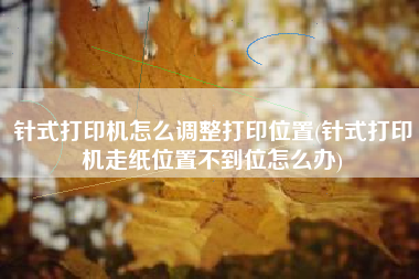 针式打印机怎么调整打印位置(针式打印机走纸位置不到位怎么办)