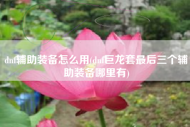 dnf辅助装备怎么用(dnf巨龙套最后三个辅助装备哪里有)