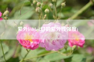 紫外led(led灯的紫外线强度)