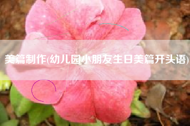 美篇制作(幼儿园小朋友生日美篇开头语)