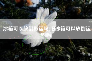 冰箱可以放倒搬运吗(旧冰箱可以放倒运输吗)