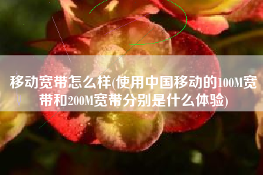 移动宽带怎么样(使用中国移动的100M宽带和200M宽带分别是什么体验)