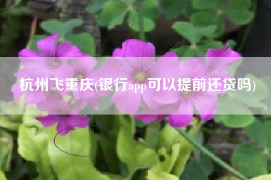 杭州飞重庆(银行app可以提前还贷吗)