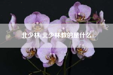 详细阅读:北少林(北少林教的是什么) 北少林(北少林教的是什么)