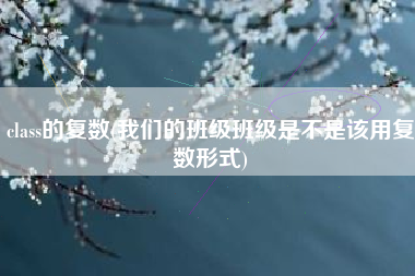 class的复数(我们的班级班级是不是该用复数形式)