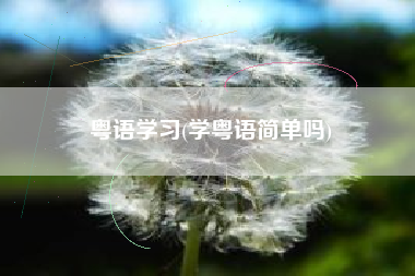 粤语学习(学粤语简单吗)