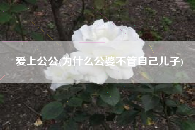 爱上公公(为什么公婆不管自己儿子)