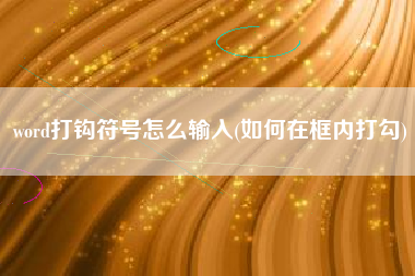 word打钩符号怎么输入(如何在框内打勾)