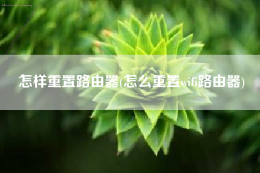 怎样重置路由器(怎么重置wifi路由器)