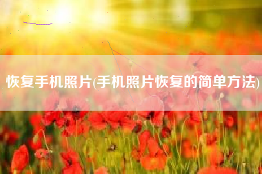 恢复手机照片(手机照片恢复的简单方法)