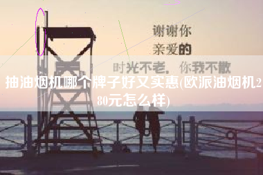 抽油烟机哪个牌子好又实惠(欧派油烟机280元怎么样)