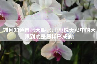 如何知道自己天眼已开(小说天眼中的天眼到底是怎样形成的)