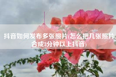 抖音如何发布多张照片(怎么把几张照片合成3分钟以上抖音)