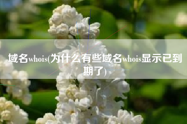 域名whois(为什么有些域名whois显示已到期了)