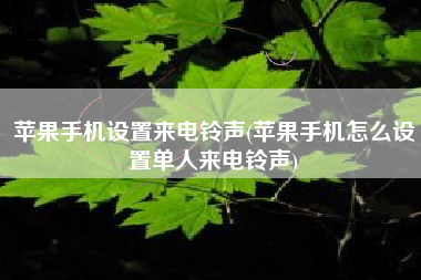 苹果手机设置来电铃声(苹果手机怎么设置单人来电铃声)