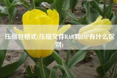压缩包格式(压缩文件RAR和ZIP有什么区别)