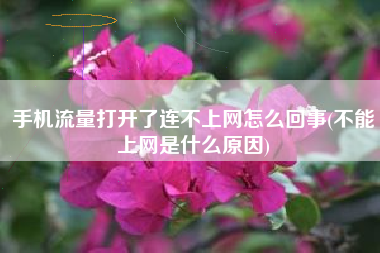 手机流量打开了连不上网怎么回事(不能上网是什么原因)