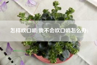 怎样吹口哨(我不会吹口哨怎么办)