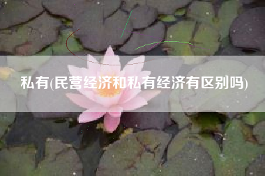 私有(民营经济和私有经济有区别吗)