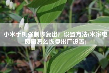 小米手机强制恢复出厂设置方法(米家电风扇怎么恢复出厂设置)