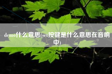 demo什么意思(set按键是什么意思在音响中)