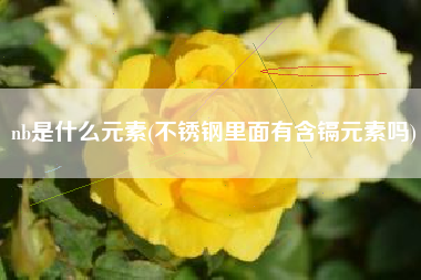 nb是什么元素(不锈钢里面有含镉元素吗)