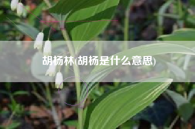 胡杨林(胡杨是什么意思)