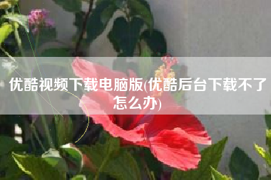 优酷视频下载电脑版(优酷后台下载不了怎么办)