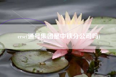 crsc(通号集团是中铁分公司吗)