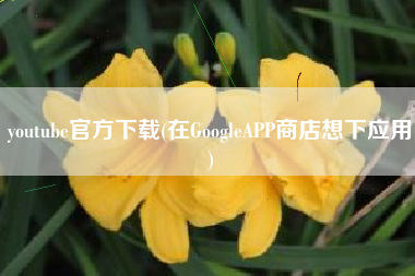 youtube官方下载(在GoogleAPP商店想下应用)
