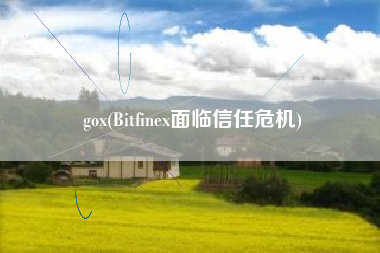 gox(Bitfinex面临信任危机)